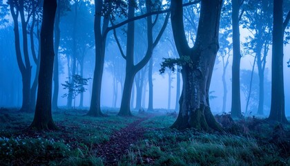 Misty morning sunlight filters through the green leaves of the autumn forest, illuminating a path through the trees