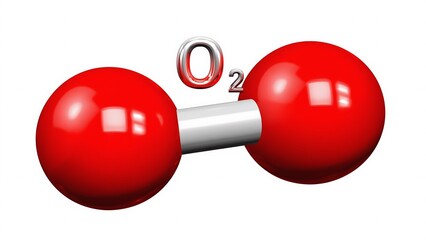 Oxygen molecule model