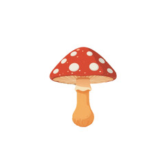 Flat colored mushroom illustration with transparent background 