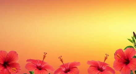 Hibiscus flowers background, tropical red blooms on bright gradient