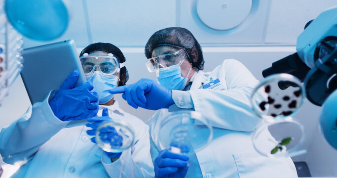 People, scientist and tablet with petri dish in lab for testing sample, experiment and research. Below, team and digital report for chemical reactions, medical study and pathogen detection of vaccine