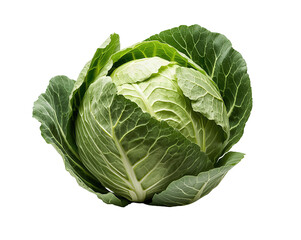Fototapeta premium Isolated cabbage reveals intricate leaf structure, showcasing freshness and nutrient-rich essence