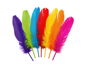 Vibrant rainbow feathers, showcasing diversity, freedom and creativity on a neutral backdrop