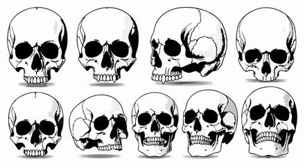Vector SVG Illustration of Skull Set with Cracks and Shadows in Modern Minimalist Style for Digital and Web Design