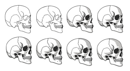 Geometric SVG Icon Set of Skull Illustration in Minimalist Line Art Style with Monochrome Grayscale Palette for Digital Design and Medical Illustration