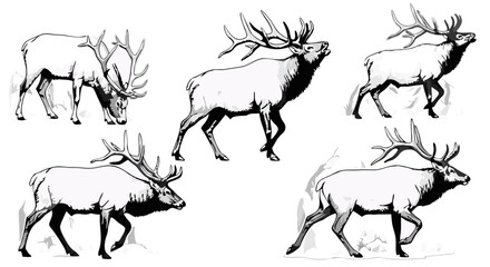 Vector SVG Illustration of Elk with Antlers in Modern Minimalist Style Featuring Monochrome Black and White Palette for Digital and Web Design