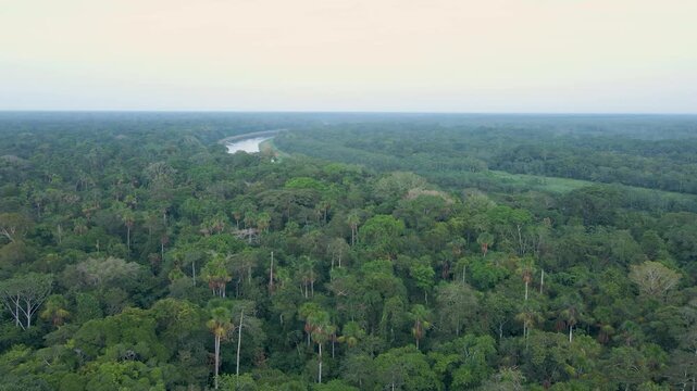 Aerial View Of Vast Dense Amazonian Jungle In Pacaya-Samiria National Reserve In Loreto, Peru.