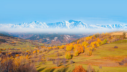 Panoramic view of Savsat highlands on a beautiful autumn day - Scenic image of forest landscape at sunny day - Autumn colorful landscape with colorful tree - Savsat, Artvin
