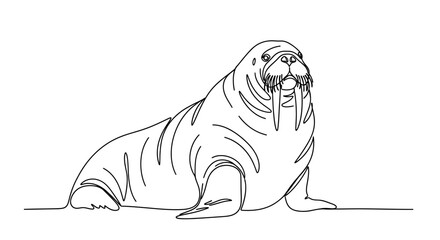 Elegant line art illustration of a majestic walrus against a white background  capturing marine © jas