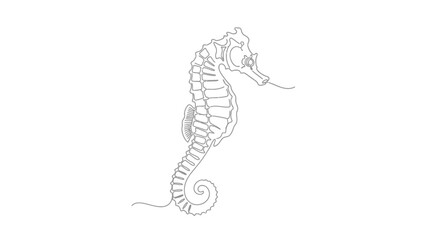 Elegant sea horse line drawing conveying minimalistic marine aesthetic beauty art