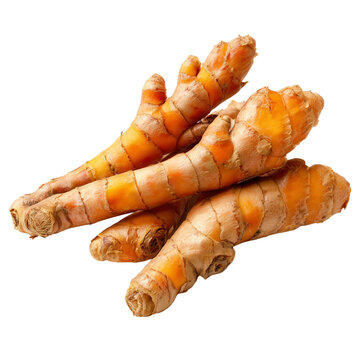 fingerroot Chinese ginger on transparent png background