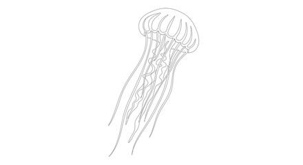 Elegant monochrome illustration of a jellyfish in a continuous line drawing style © jas