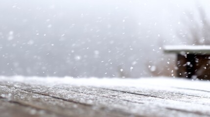 blizzard,temperature,flakes,storm,climate,ice,atmosphere,winter,frost,surface,outdoor,cold,weather,wood,landscape,season,freezing,environment,chill,snow