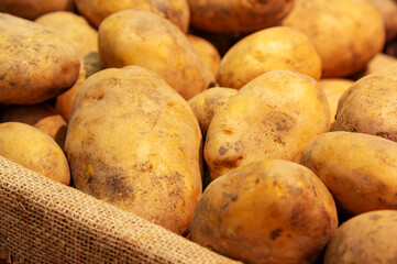 Lots of raw potatoes lying in a tray on the display case of a vegetable shop. Natural not perfect many potatoes. Close-up