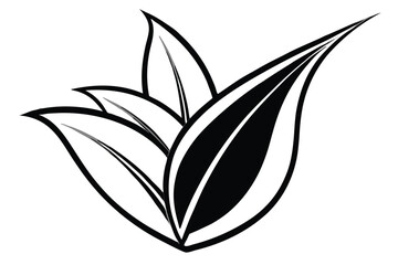 Abstract Leaves with Black and White Elegant Design on White Background