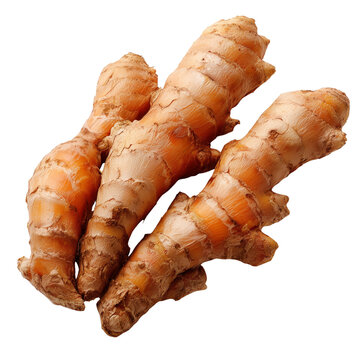 fingerroot Chinese ginger on transparent png background