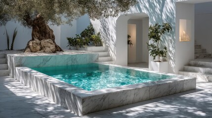 Square pool in the Greek villa garden concept. A serene modern pool surrounded by beautiful olive trees.
