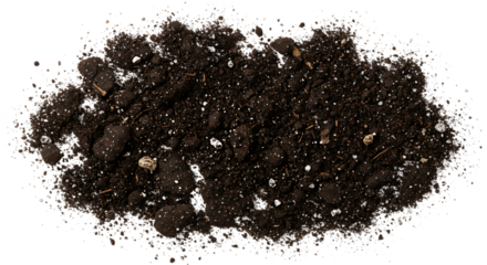 modern detailed professional high quality Rich Brown Soil with Earthworms and Small Rocks