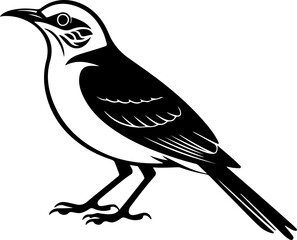 mockingbird silhouette vector illustration