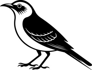 mockingbird silhouette vector illustration