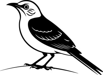 mockingbird silhouette vector illustration