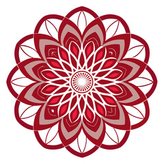 Radial Floral Ornament Vector