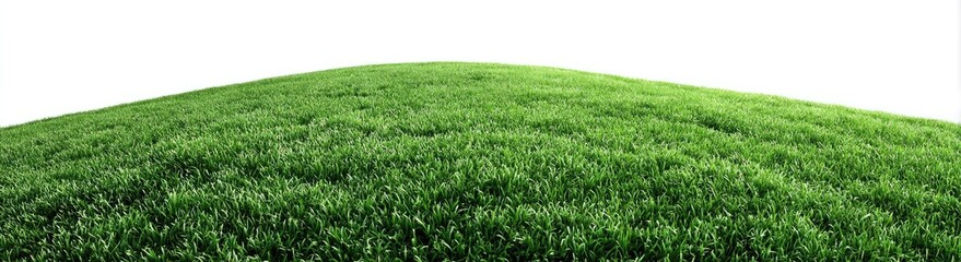 Lush green grassy hill against white background
