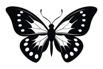 Butterfly with Decorative Wings Design on White Background, Nature Icon