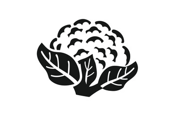 Cauliflower Silhouette With Leafy Texture Isolated on White Background