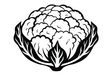 Cauliflower, Floret Vegetable Design, Isolated Vegetable Icon, Minimalist Art