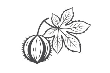 Chestnut Burr Isolated, Leaf, Fall Season, Elegant Outlines, White Background