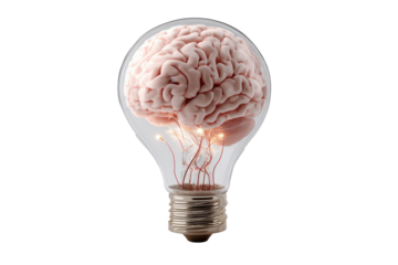 3d bulb with brain on white backround. originality ,ideas
