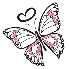 butterfly vector illustration
