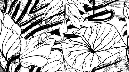 TR_SP_BW40.eps