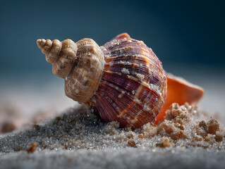 A detailed close-up shot of a spiral seashell resting on fine sand with a blurred background, showcasing intricate textures and colors