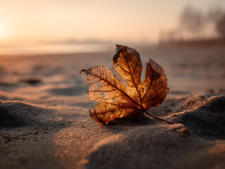 Golden autumn leaf rests on sandy beach at sunrise, casting delicate shadows, evoking warmth and tranquility of nature's transition