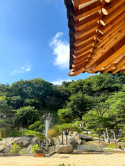 Traditional Korean Hanok with Garden Plants and Blue Sky, Natural Landscape Photo Background