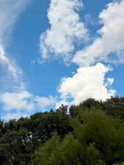 Blue Sky Natural Landscape Photo Background with Pretty Clouds