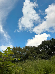 Blue Sky Natural Landscape Photo Background with Pretty Clouds