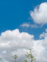 Blue Sky Natural Landscape Photo Background with Pretty Clouds
