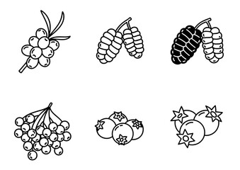 Vibrant collection of stylized berry icons, showcasing fresh, natural goodness for healthy eating and lifestyle branding, perfect for culinary and wellness projects