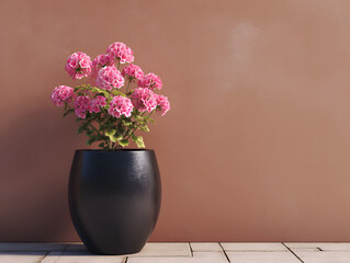 Pink Geranium Flowers in Black Pot Against Brown Wall with Paved Surface