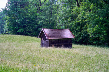 old house in the woods