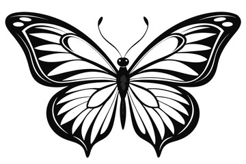 Decorative Symmetrical Butterfly with Intricate Wing Pattern on White Background