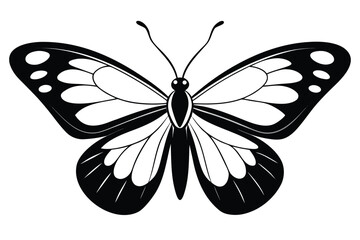 Detailed Butterfly Design with Intricate Black and White Pattern