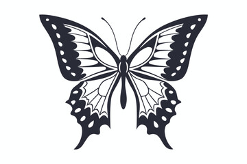 Detailed Butterfly Silhouette Isolated on White Background
