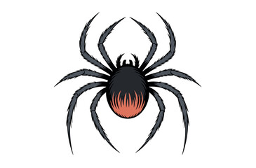 Ornate Spider Design for Graphic Art