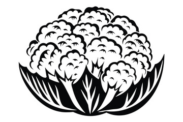 Obraz premium Isolated Black Cauliflower Head with Leaves, Outline Style on White Background