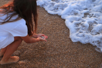 a young girl kneeling on the sandy beach, intently collecting seashells as the sun rises on the horizon. exploration by the ocean.