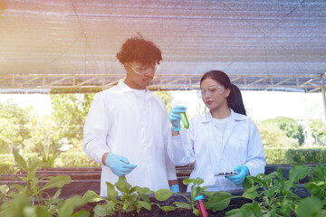 Scientists, men and women are experimenting and analyzing about the cultivation of agricultural...